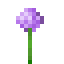 Allium item icon