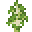 Birch Sapling item icon