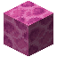 Brain Coral Block item icon