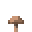 Brown Mushroom item icon