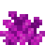 Bubble Coral item icon