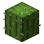 Cactus item icon