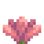 Cactus Flower item icon
