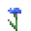 Cornflower item icon