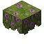 Flowering Azalea item icon