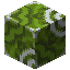 Green Glazed Terracotta item icon