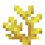 Horn Coral item icon