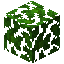 Jungle Leaves item icon