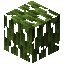 Mangrove Leaves item icon