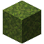 Moss Block item icon