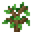 Oak Sapling item icon