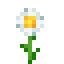 Oxeye Daisy item icon