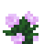 Peony item icon