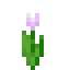 Pink Tulip item icon