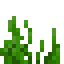 Seagrass item icon