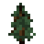 Spruce Sapling item icon