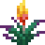 Torchflower item icon