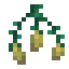 Torchflower Seeds item icon