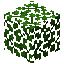 Acacia Leaves item icon