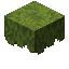 Azalea item icon