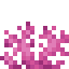 Brain Coral Fan item icon