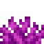 Bubble Coral Fan item icon