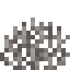 Dead Fire Coral Fan item icon