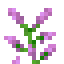 Lilac item icon