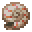 Nautilus Shell item icon