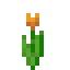 Orange Tulip item icon