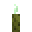 Sea Pickle item icon